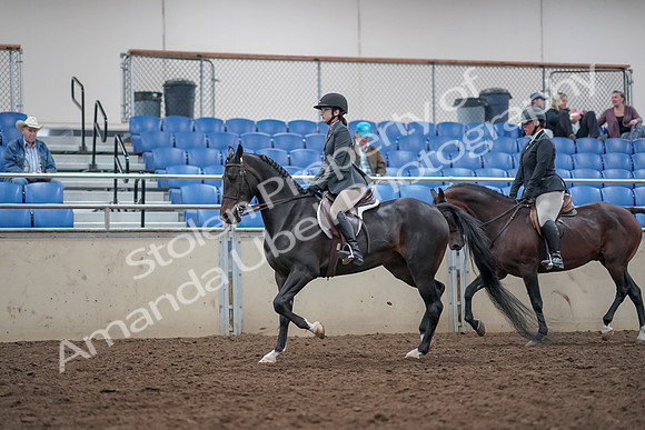 2019 Morgan Horse Show - Aug 31, 2019 - 14980