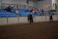 2019 Morgan Horse Show - Aug 30, 2019 - 24647