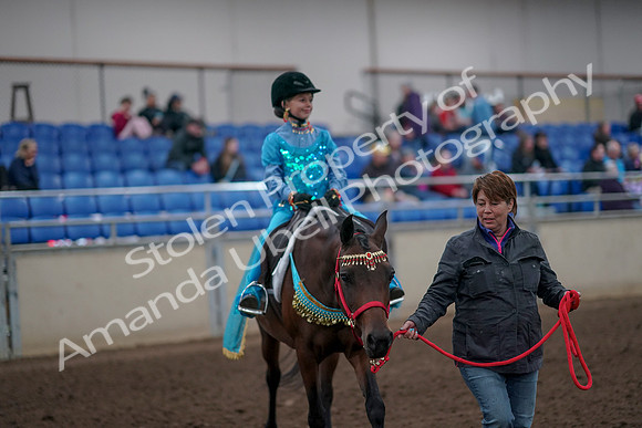 2019 Morgan Horse Show - Aug 31, 2019 - 09955