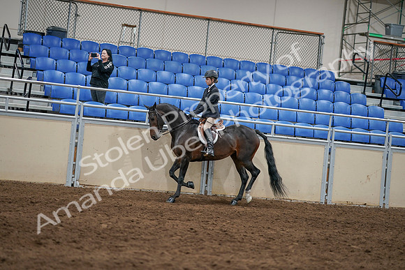 2020 - AB Morgan Horse - Sun, Sept 06 - 07865