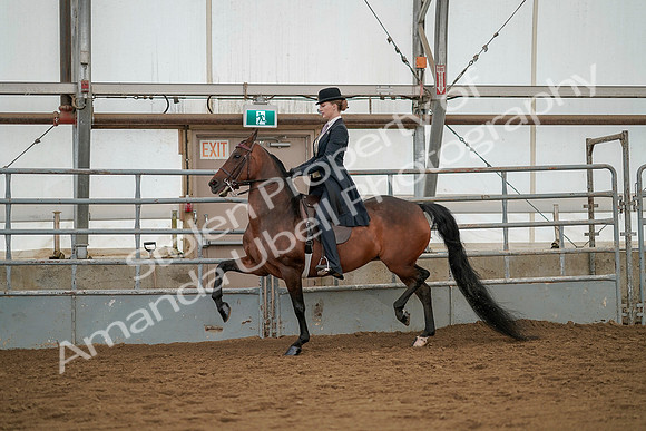 July 20, 2019 - 04273