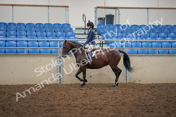 2019 Morgan Horse Show - Aug 30, 2019 - 23384