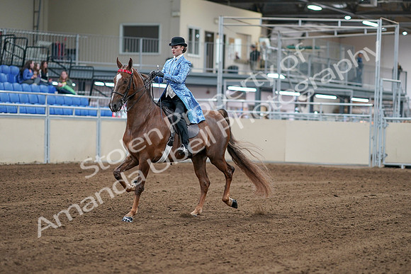 2020 - AB Morgan Horse - Sat, Sept 05 - 06113