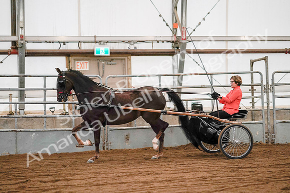 July 19, 2019 - 6984