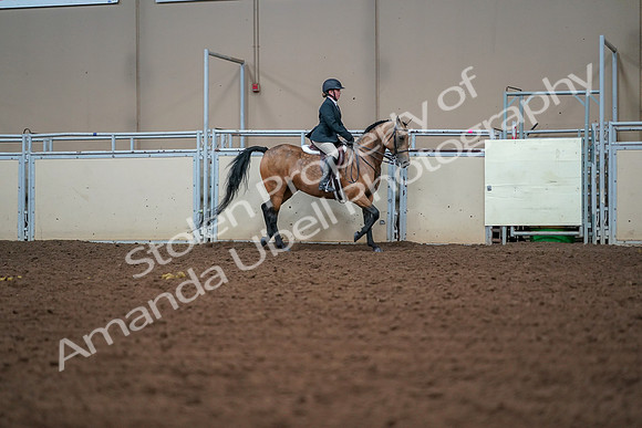 2019 Morgan Horse Show - Aug 30, 2019 - 20783