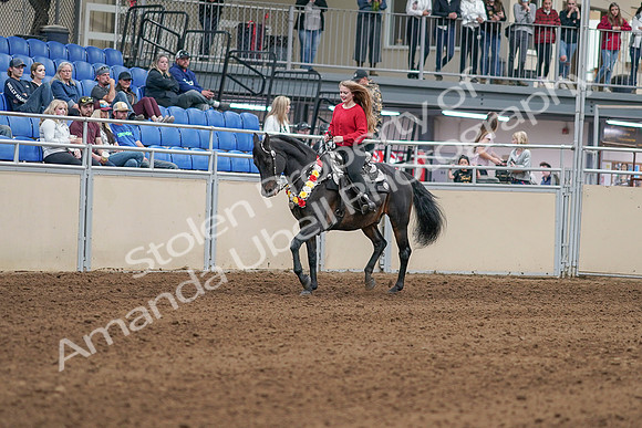 2020 - AB Morgan Horse - Sat, Sept 05 - 10416