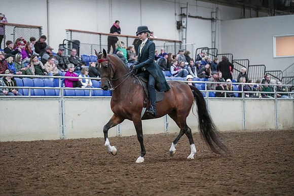 Spring Fling - Saturday - April 20, 2019  -  00628
