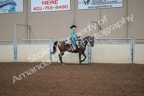 2019 Morgan Horse Show - Aug 30, 2019 - 17038