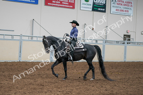 2020 - AB Morgan Horse - Sun, Sept 06 - 07648