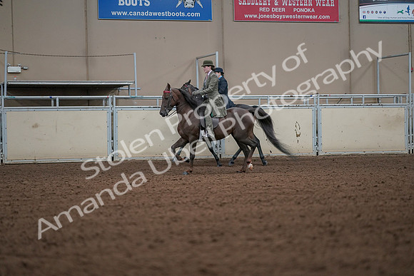 2019 Morgan Horse Show - Aug 30, 2019 - 15468