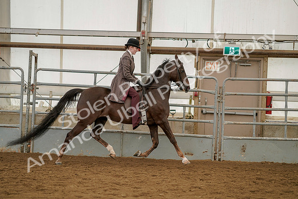 July 20, 2019 - 04569