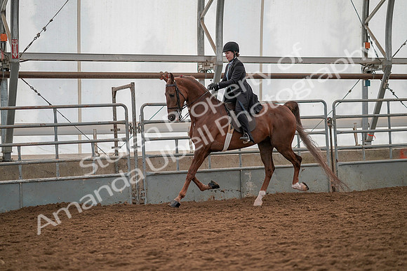 July 19, 2019 - 12935