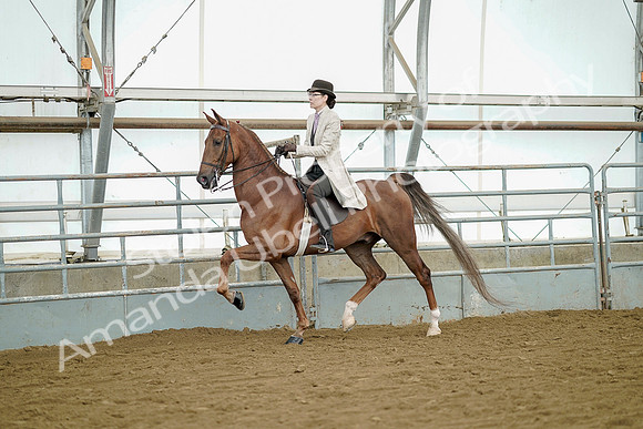 July 20, 2019 - 07847