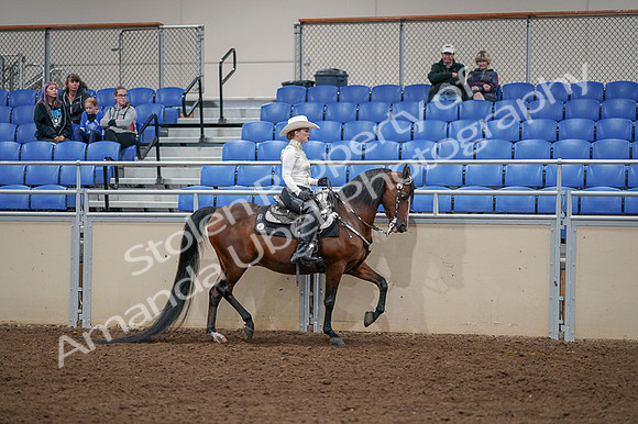 2020 - AB Morgan Horse - Fri, Sept 04 - 08444