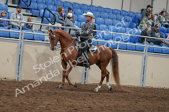 2020 - AB Morgan Horse - Sun, Sept 06 - 07497