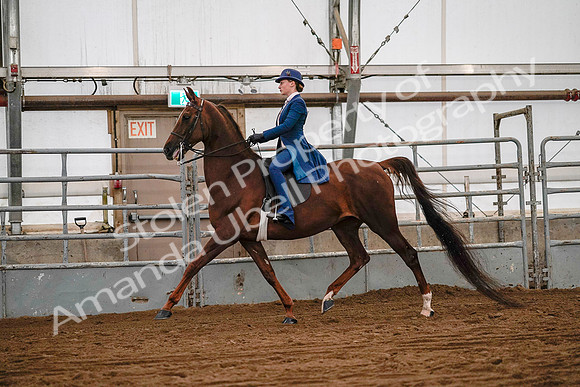 July 19, 2019 - 8687