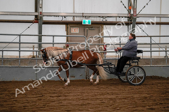 July 19, 2019 - 7073
