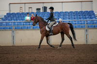 2019 Morgan Horse Show - Aug 31, 2019 - 04829