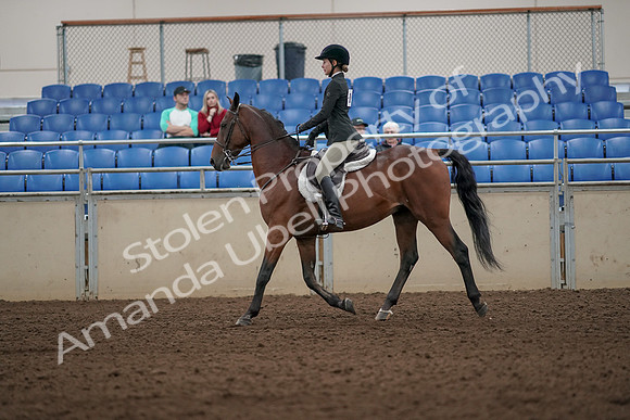 2019 Morgan Horse Show - Aug 31, 2019 - 04829