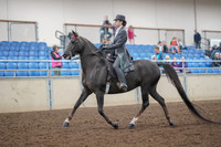 2019 Morgan Horse Show - Aug 30, 2019 - 28375
