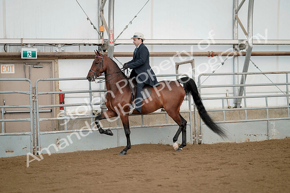 July 21, 2019 - 01663