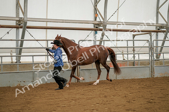July 19, 2019 - 1265