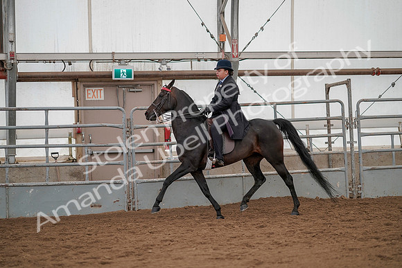 July 20, 2019 - 04493