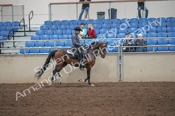 2019 Morgan Horse Show - Aug 31, 2019 - 06145