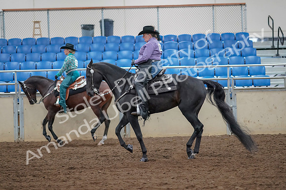2019 Morgan Horse Show - Aug 30, 2019 - 16895