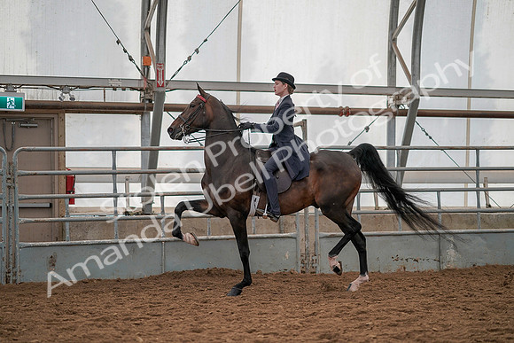 July 19, 2019 - 12909