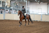 2020 - AB Morgan Horse - Fri, Sept 04 - 02224