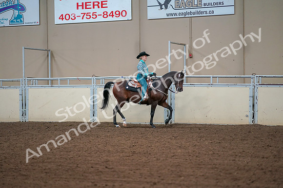 2019 Morgan Horse Show - Aug 30, 2019 - 17040