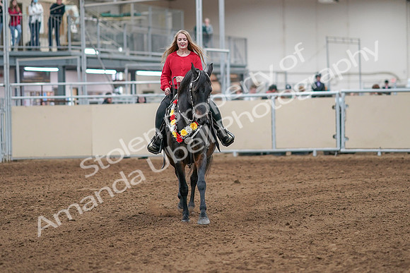 2020 - AB Morgan Horse - Sat, Sept 05 - 10528