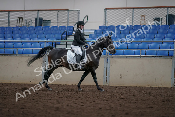 2019 Morgan Horse Show - Aug 31, 2019 - 16755