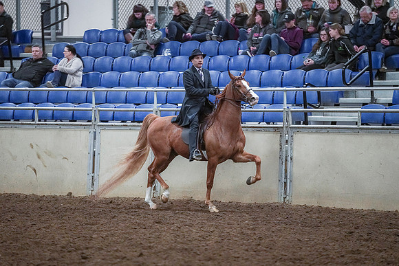 Spring Fling - Saturday - April 20, 2019  -  04494