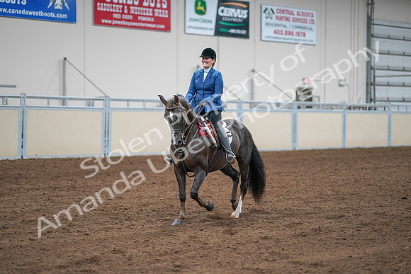 2020 - AB Morgan Horse - Sat, Sept 05 - 05255