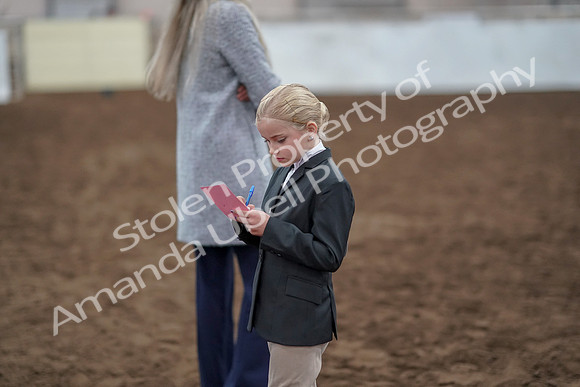 2019 Morgan Horse Show - Aug 31, 2019 - 03950