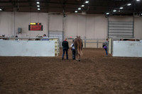 2019 Morgan Horse Show - Aug 31, 2019 - 02836