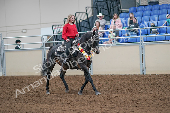 2020 - AB Morgan Horse - Sat, Sept 05 - 10508