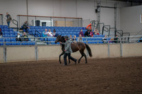 2019 Morgan Horse Show - Aug 30, 2019 - 25674