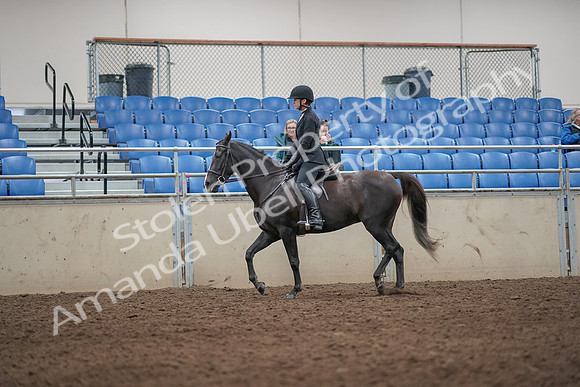 2019 Morgan Horse Show - Aug 31, 2019 - 07178