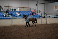 2019 Morgan Horse Show - Aug 30, 2019 - 25671
