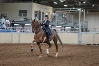 2020 - AB Morgan Horse - Fri, Sept 04 - 11074