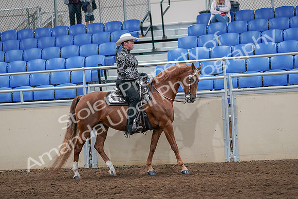 2020 - AB Morgan Horse - Sun, Sept 06 - 07549