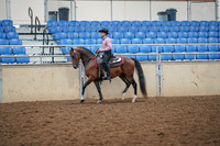 2019 Morgan Horse Show - Aug 30, 2019 - 22688
