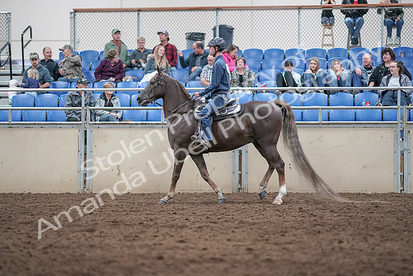 2019 Morgan Horse Show - Aug 31, 2019 - 21397