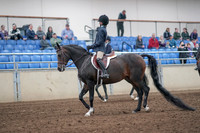 2019 Morgan Horse Show - Aug 31, 2019 - 19382