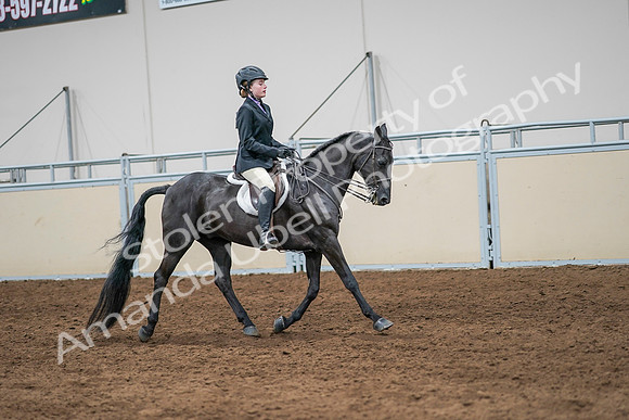 2020 - AB Morgan Horse - Sun, Sept 06 - 08042