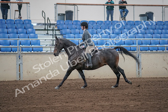 2019 Morgan Horse Show - Sept 01, 2019 - 10996_1