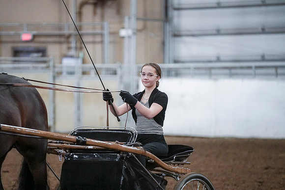 Spring Fling - Saturday - April 20, 2019  -  00313